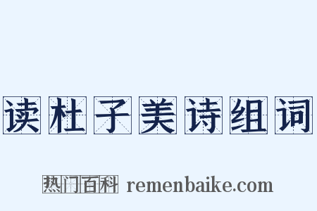 读杜子美诗组词是什么意思的图片